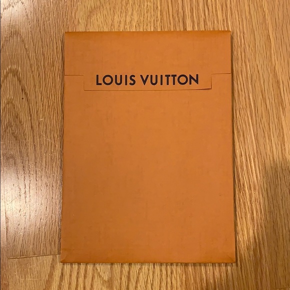 Louis Vuitton Storage Envelope - Picture 1 of 3
